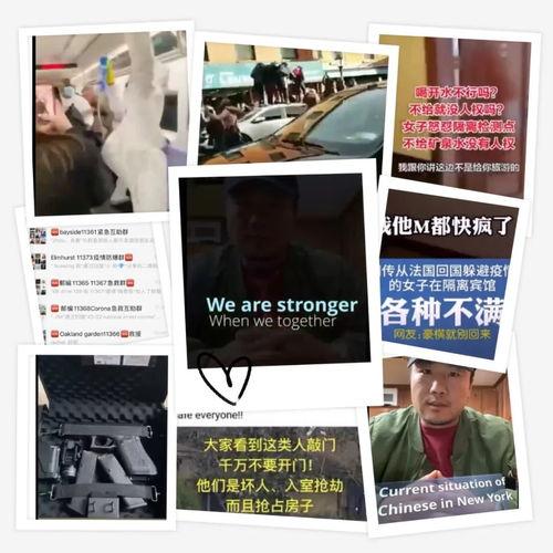 美国的病毒爆料视频大全,真相与争议并存