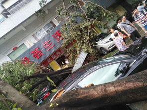 山竹爆料深圳视频,深圳幕后真相大曝光  第2张